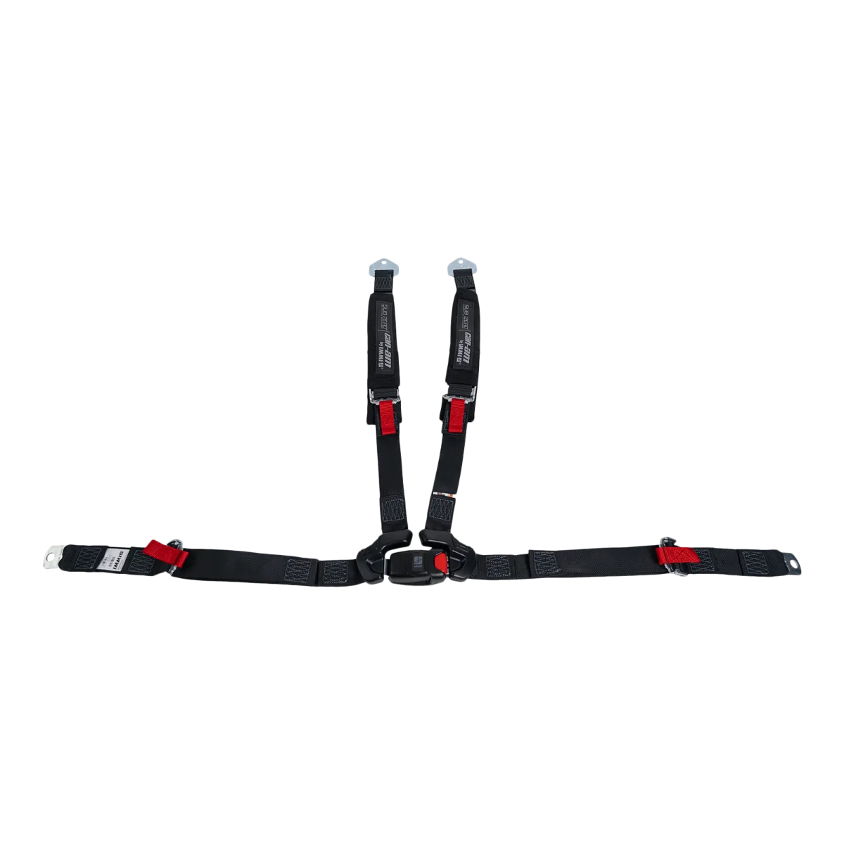 4-Point Harness (passenger)