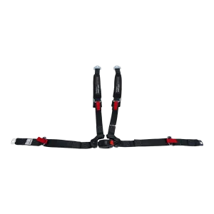 4-Point Harness (passenger)