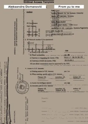 Aleksandra Domanović, From yu to me, 2014
