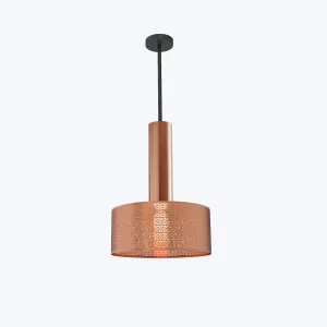 Alula Pendant Light