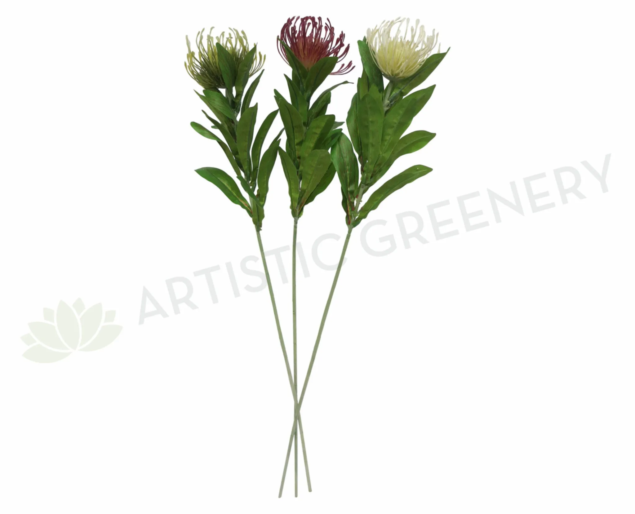 F0067 Protea Pincushion Single Stem 80cm 5 Colours