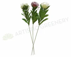F0067 Protea Pincushion Single Stem 80cm 5 Colours