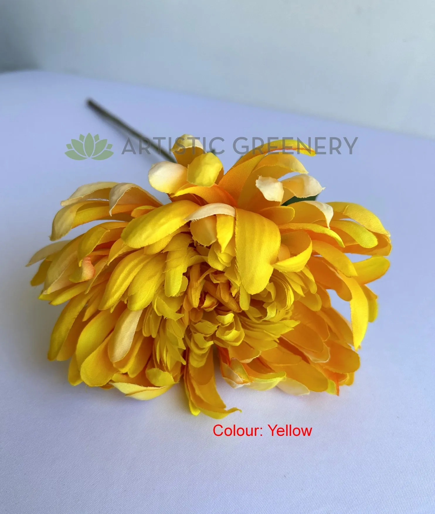 F0450 Chrysanthemum Single Stem 64cm  5 colours SPECIAL