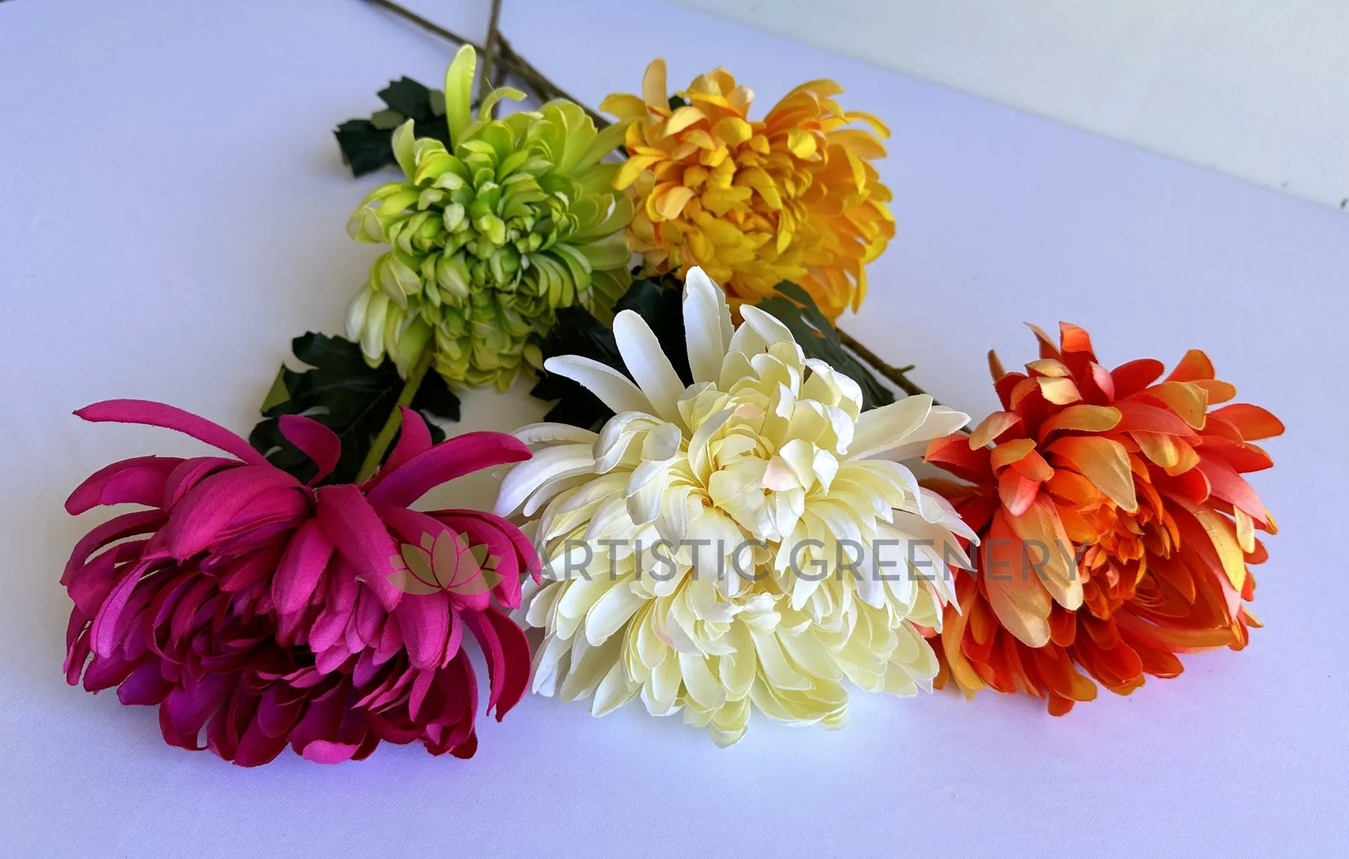 F0450 Chrysanthemum Single Stem 64cm  5 colours SPECIAL