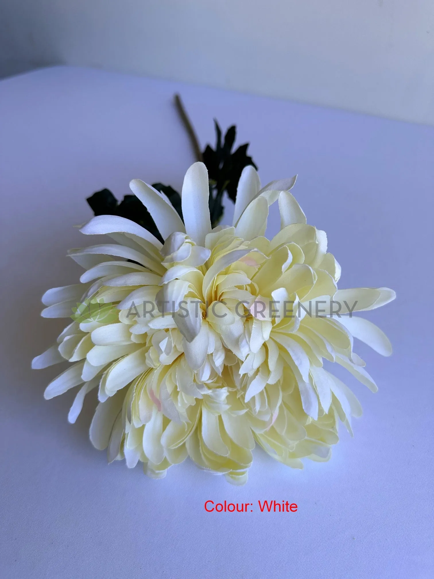 F0450 Chrysanthemum Single Stem 64cm  5 colours SPECIAL