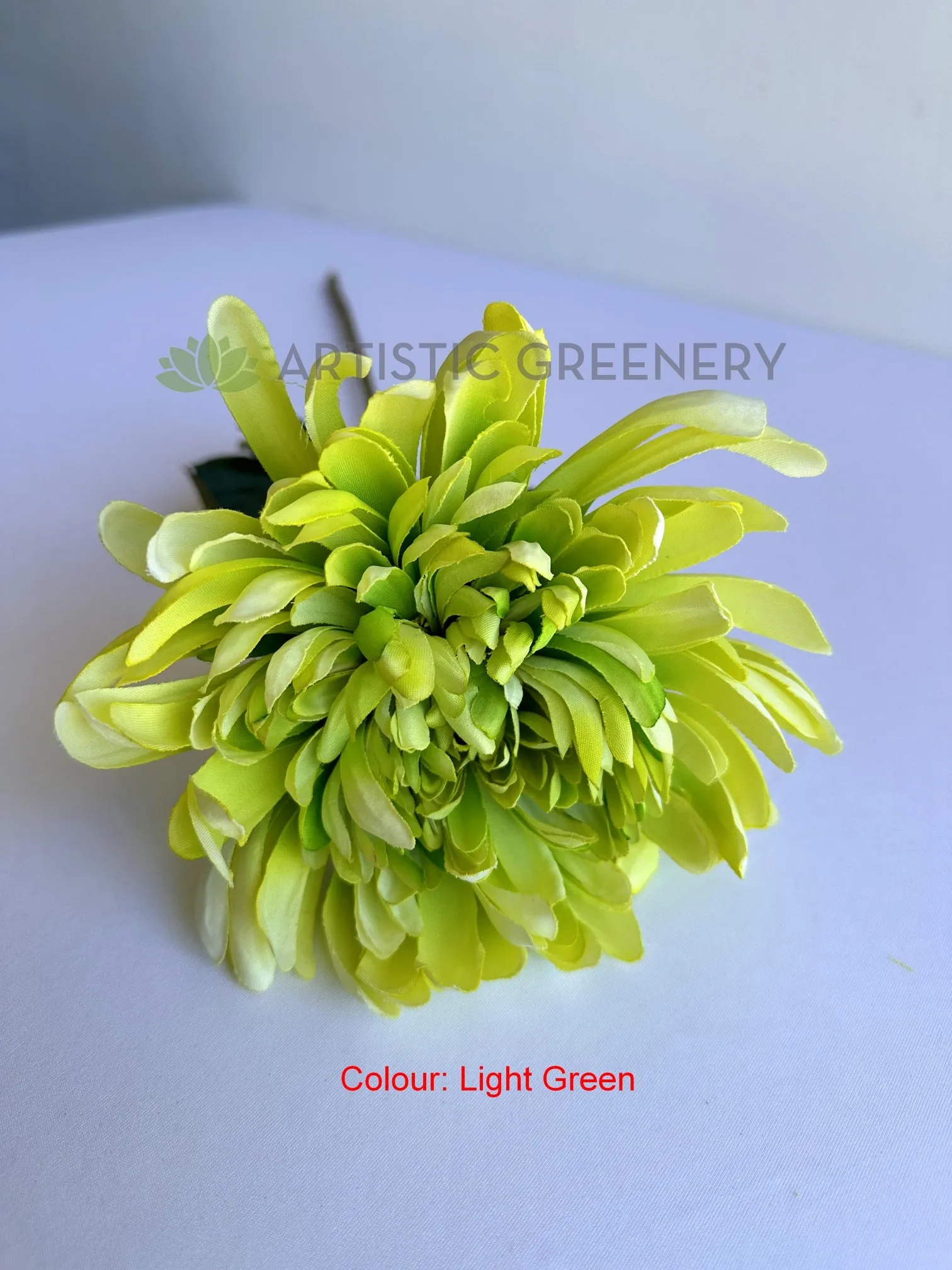 F0450 Chrysanthemum Single Stem 64cm  5 colours SPECIAL