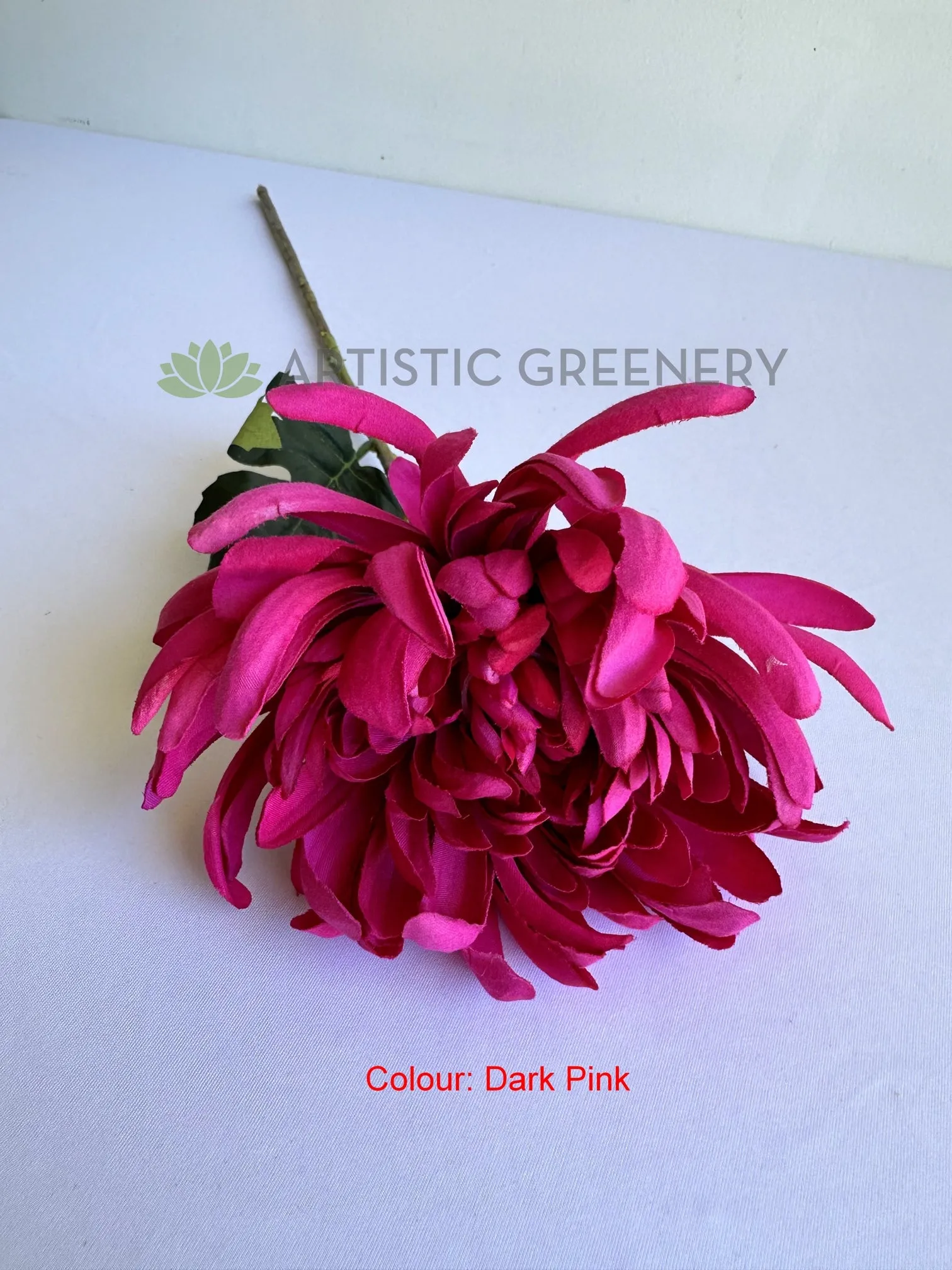 F0450 Chrysanthemum Single Stem 64cm  5 colours SPECIAL