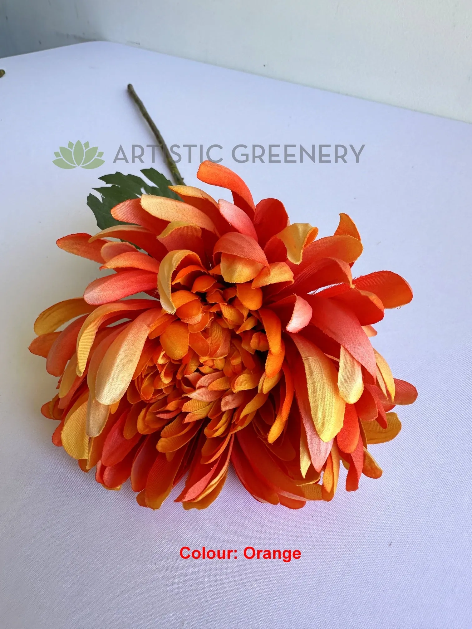F0450 Chrysanthemum Single Stem 64cm  5 colours SPECIAL