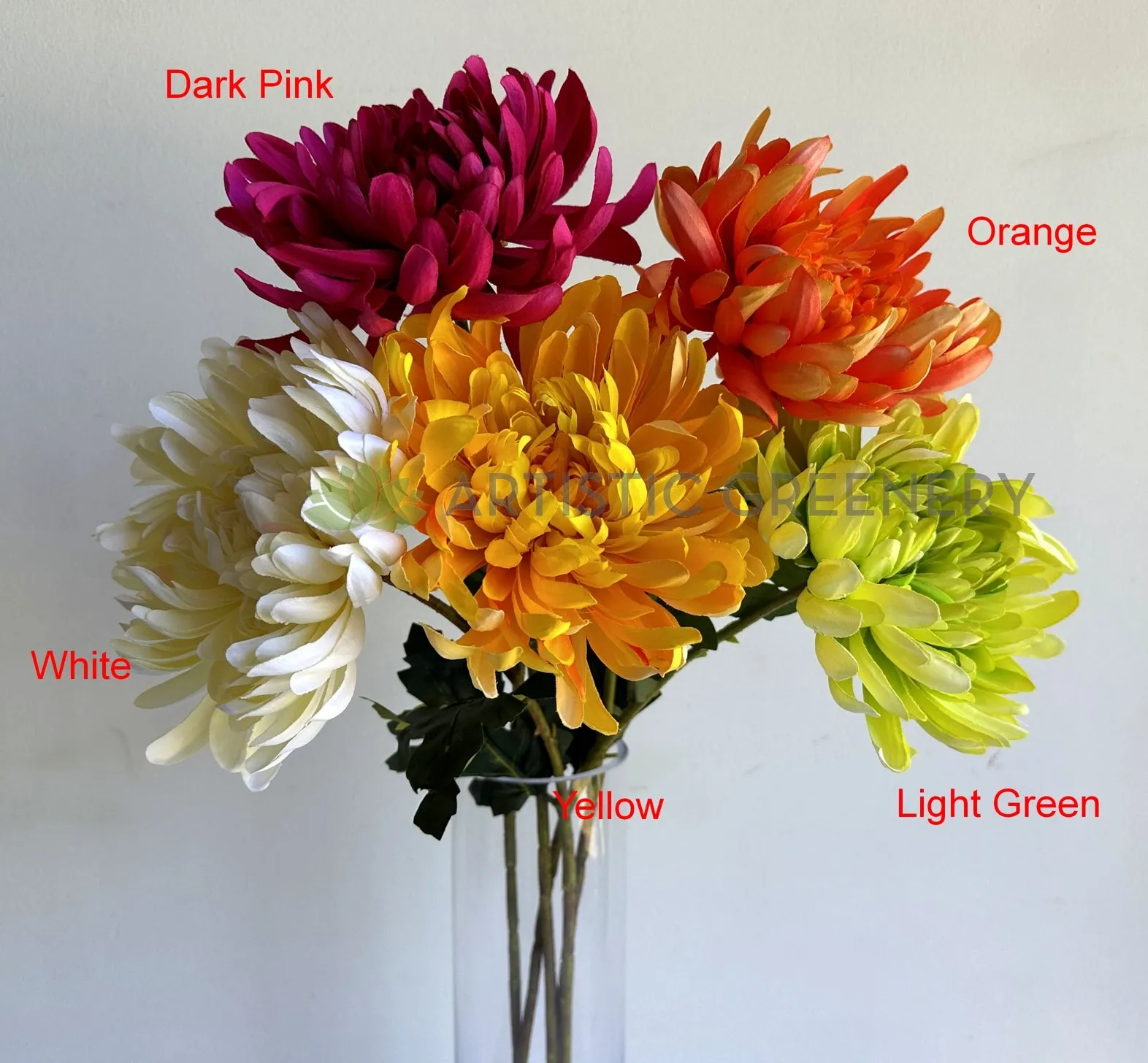 F0450 Chrysanthemum Single Stem 64cm  5 colours SPECIAL