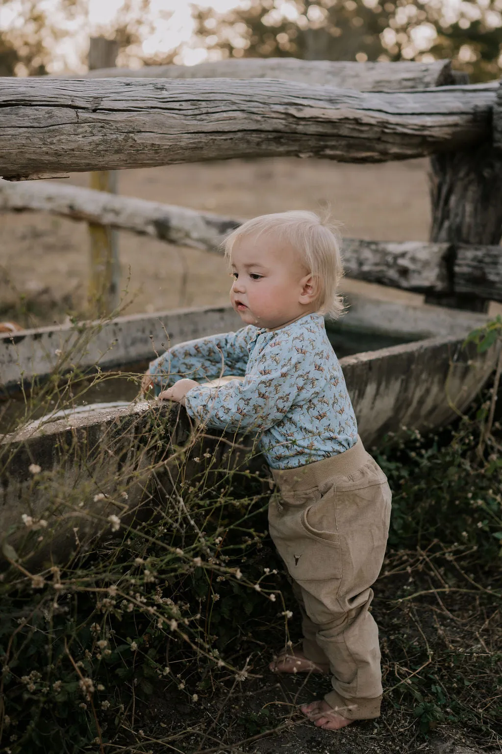 Little Windmill Corduroy Trousers