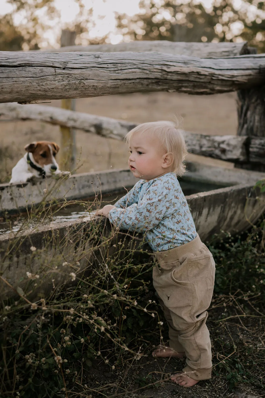 Little Windmill Corduroy Trousers